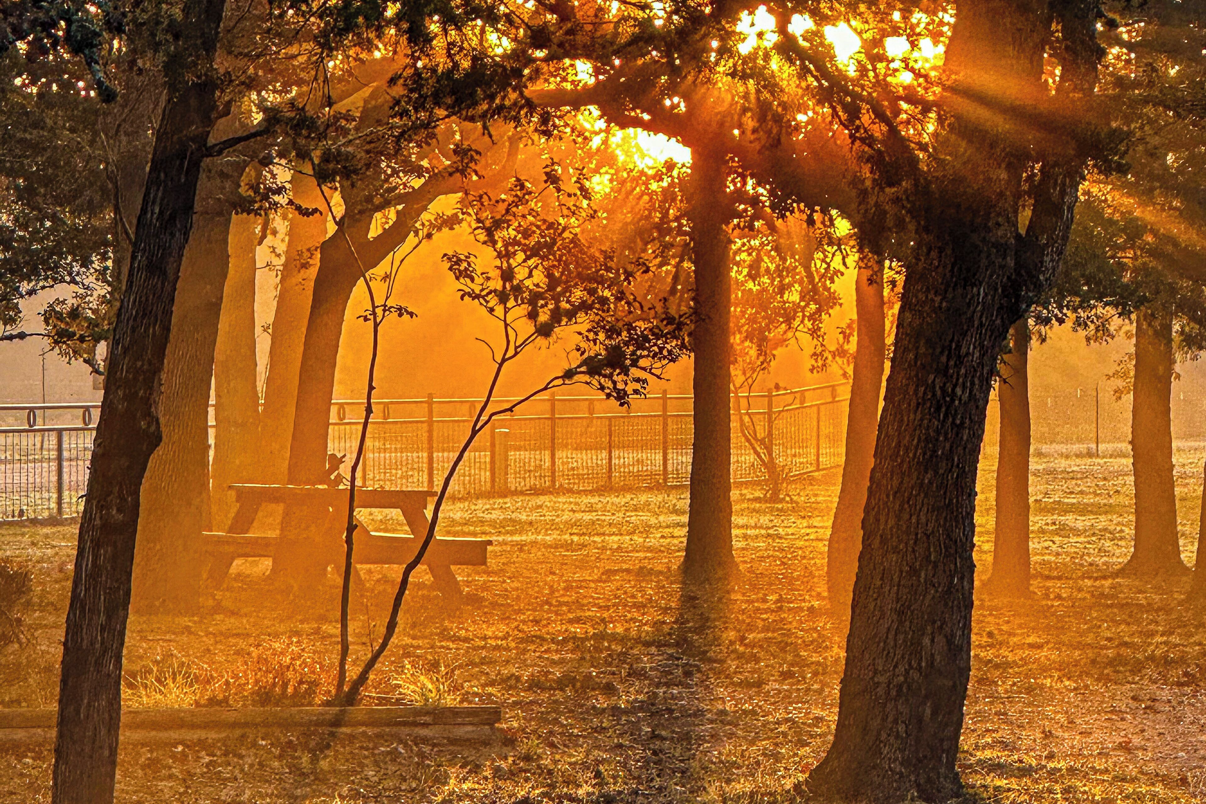 獨棟房屋 (1 Bedroom) | 住宿內部