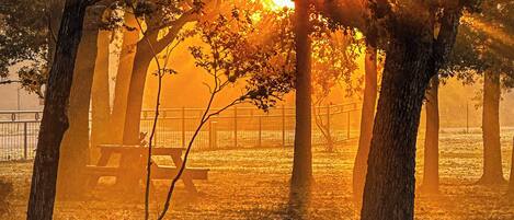 ハウス (1 Bedroom) | 内装