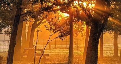 1BR Water-view Cabin w/ Kitchenette, Streaming, AC