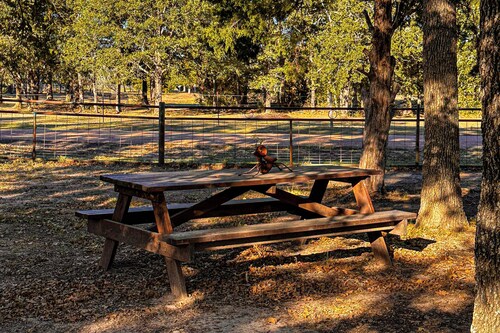 1BR Water-view Cabin w/ Kitchenette, Streaming, AC