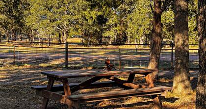 1BR Water-view Cabin w/ Kitchenette, Streaming, AC