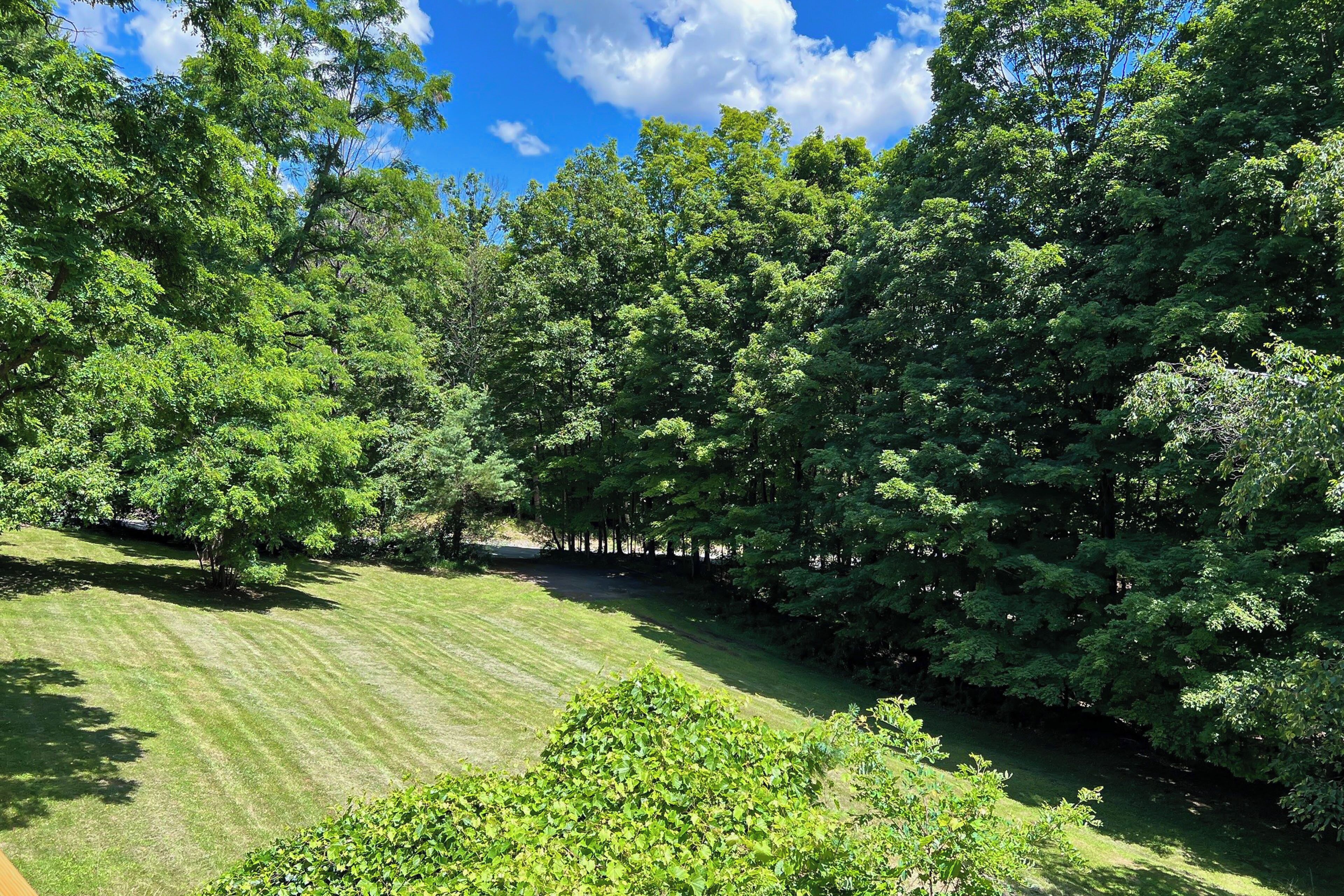 Un paysage verdoyant et luxuriant, avec une pelouse bien entretenue et de nombreux arbres.