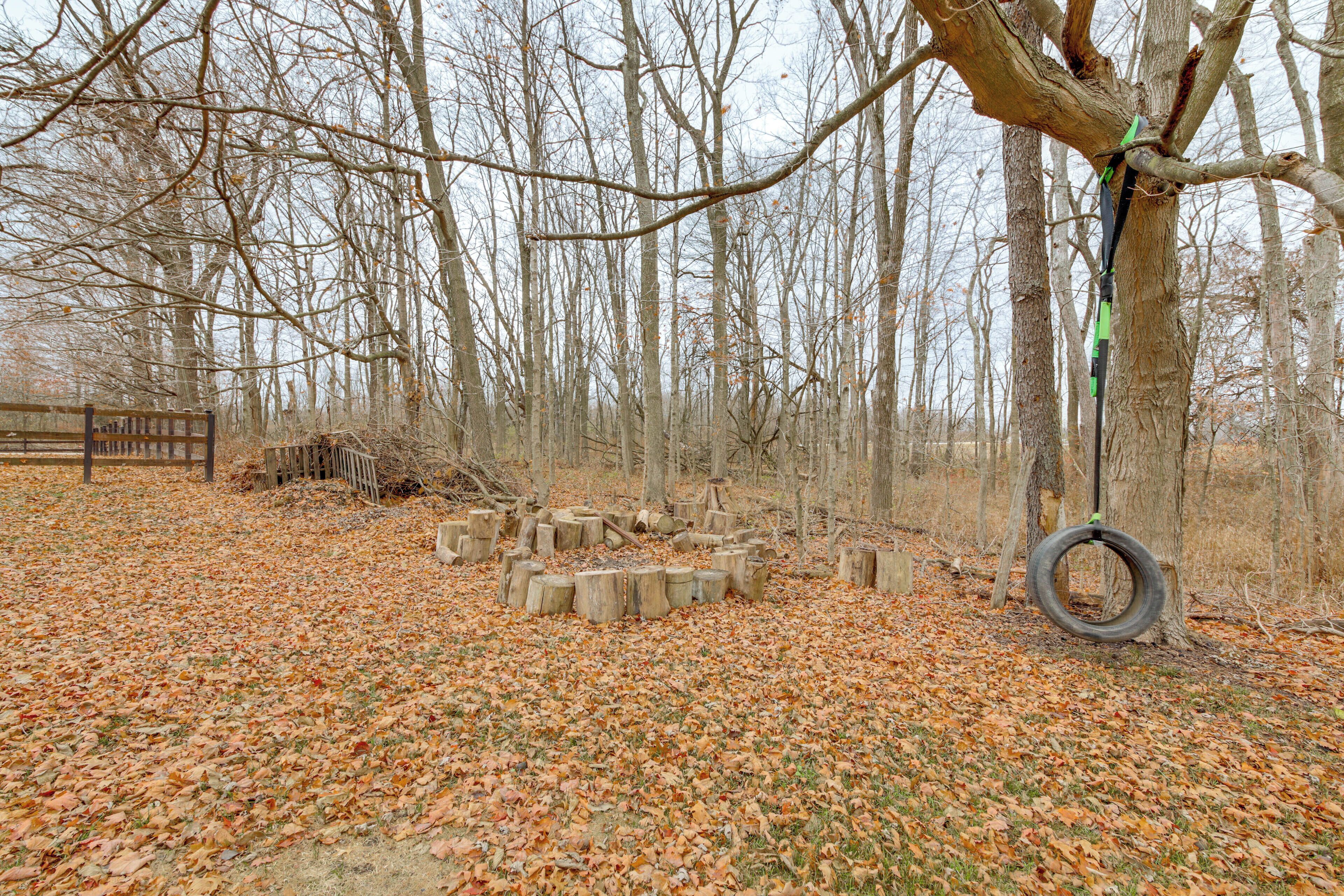 A forest clearing with a wooden bench, a tire swing, and several tree stumps.