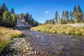 A clear stream with surrounding trees and a rocky riverbank. - 3BR Rustic Riverfront Home w/ Wood Stove (Blairsden-Graeagle)