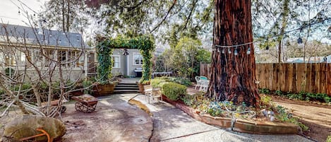 House (1 Bedroom) | Interior