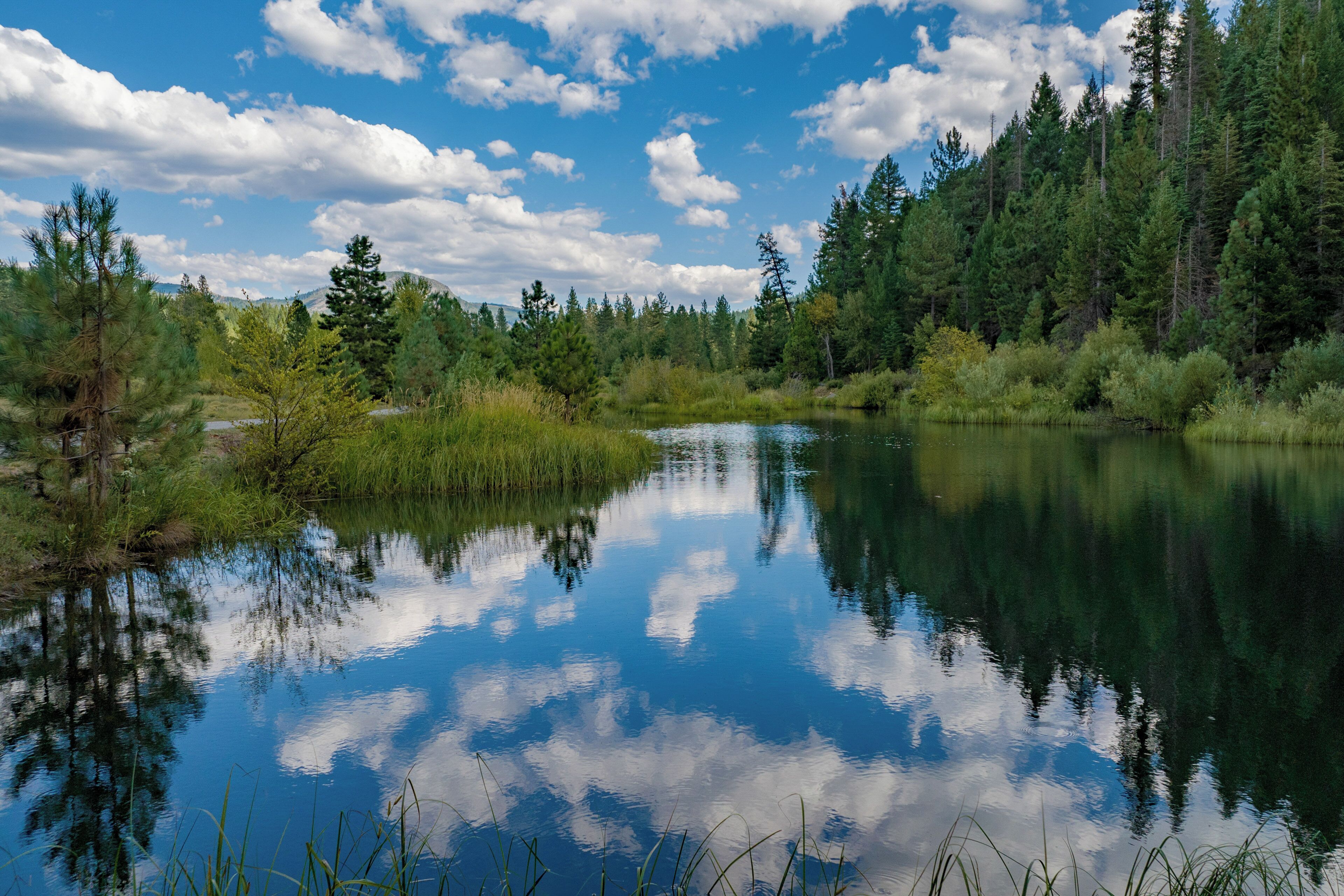 A calm lake surrounded by dense forest and mountains under a partly cloudy sky.