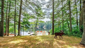 Ein bewaldetes Gebiet mit einer Hütte und einem Boot, das an einem See vertäut ist.