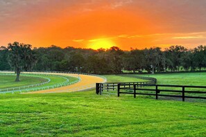 A racetrack with a curved layout and a wooden fence. - 1 BR Guesthouse w/ Full Kitchen & Lake View (Micanopy)