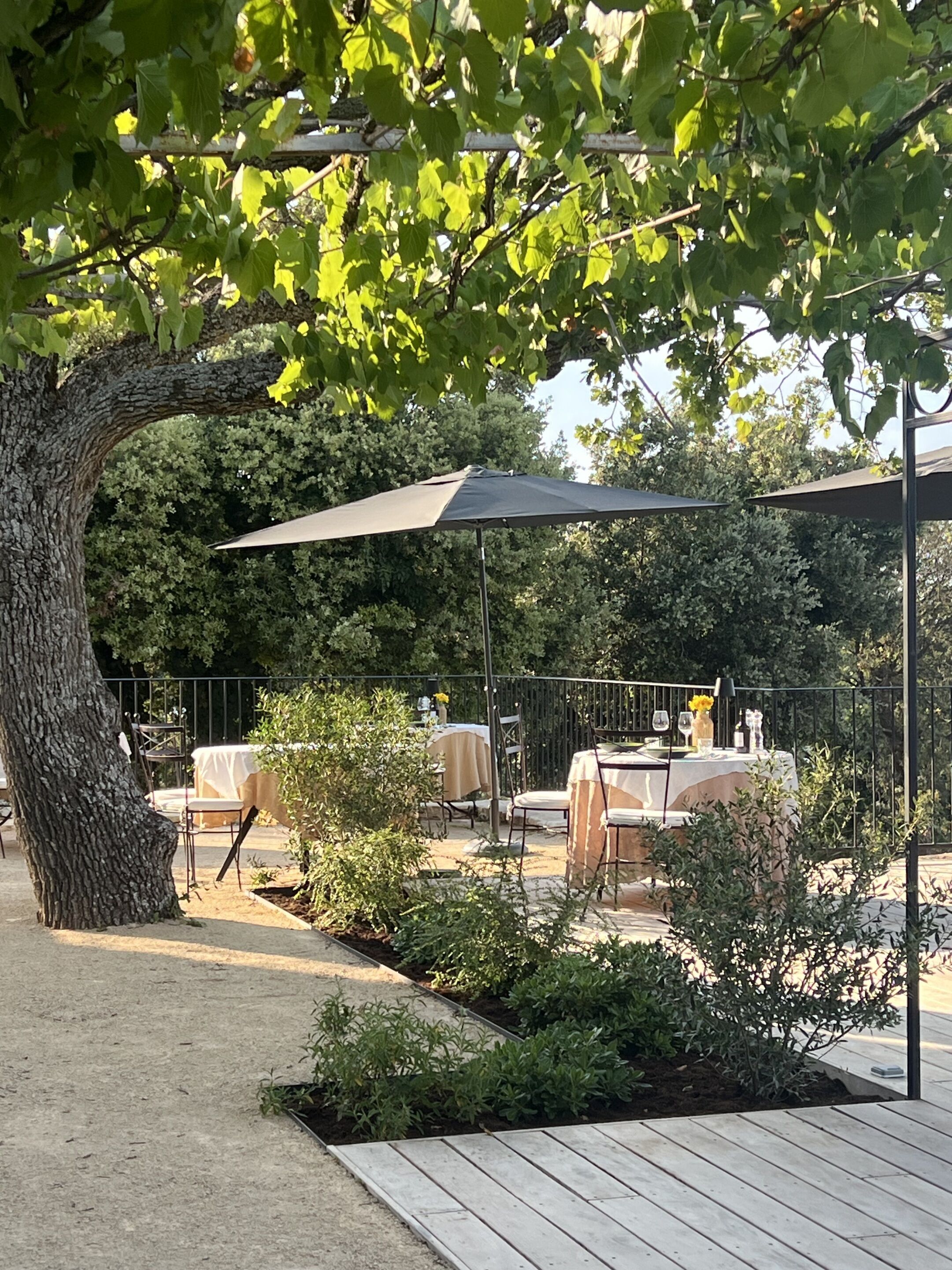 Une terrasse extérieure avec des tables et des chaises, entourée de verdure et d’un grand arbre.