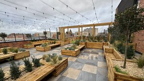 A rooftop garden with wooden planters and a view of the cityscape. - Modern & Spacious Studio Apartment in Leicester (Leicester)