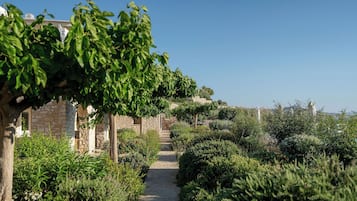Jardín
