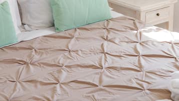 In-room safe, iron/ironing board, free WiFi