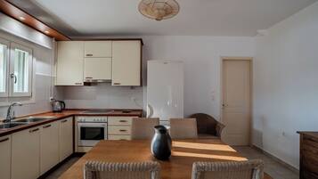 Fridge, oven, stovetop, cookware/dishes/utensils