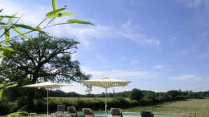 Ein Poolbereich mit Liegestühlen und Sonnenschirmen, umgeben von Grünpflanzen und einem großen Baum.