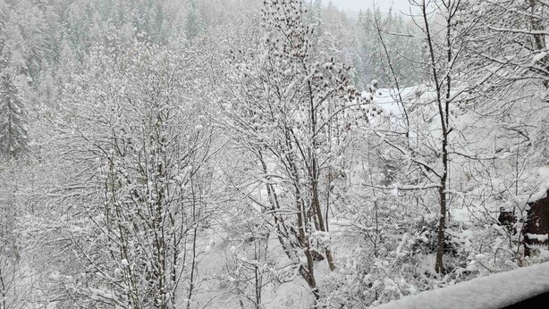 A snowy forest scene with a wooden structure in the foreground. - Bright studio 4 pers, balcony, close to slopes Pra-Loup 1600 (Pra-Loup)