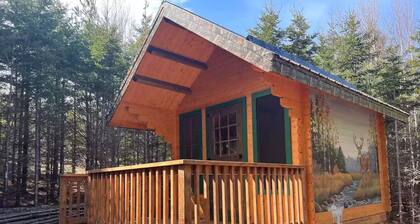 Pet-Friendly Cabin | Sleeps 2 | Private Fire Pit