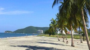 Ein Strand mit Palmen, einem klaren Himmel und Gebäuden im Hintergrund.