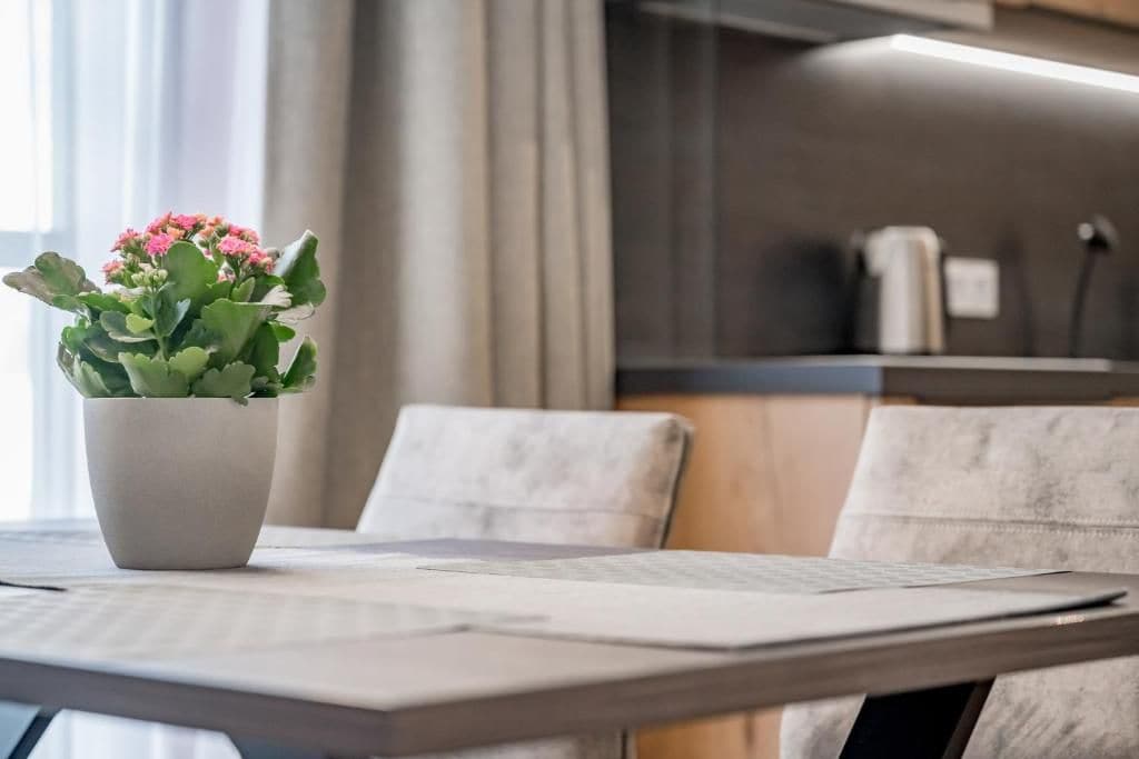 A modern dining area with a table, chairs, and a potted plant.