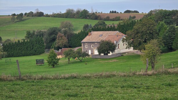 A rural house with a tiled roof, surrounded by a green field and trees.