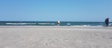 بالقرب من الشاطئ