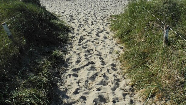 Ein sandiger Küstenweg führt zum Meer, gesäumt von Gras.