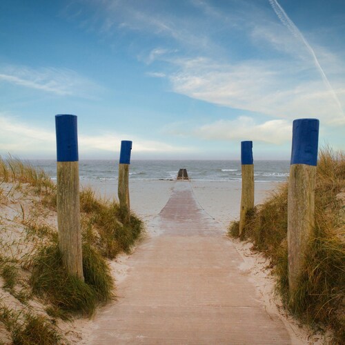Entspanne im Möwennest Südstrand: Ihr Ferienparadies an der Ostsee
