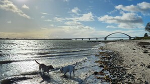 A beach with a bridge in the background, a dog, and a person. - Beach residence Vogelflug App. 10 - spacious & close to the beach (Fehmarn)