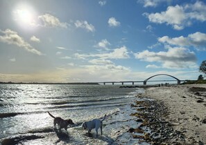 A beach with a bridge in the background, a dog, and a person. - Luxurious vacation apartment with breathtaking sea views on the Baltic Sea! (Fehmarn)