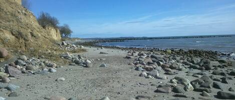 بالقرب من الشاطئ