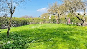 A lush green lawn with scattered flowers and trees. - Vacation home Zur Alten Mühle - spacious living in Orth (Schwanitz) with garden & T (Fehmarn)