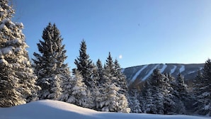 Schneelandschaft mit immergrünen Bäumen und einem Berg im Hintergrund.