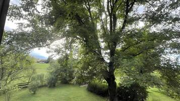 Blick von der Unterkunft