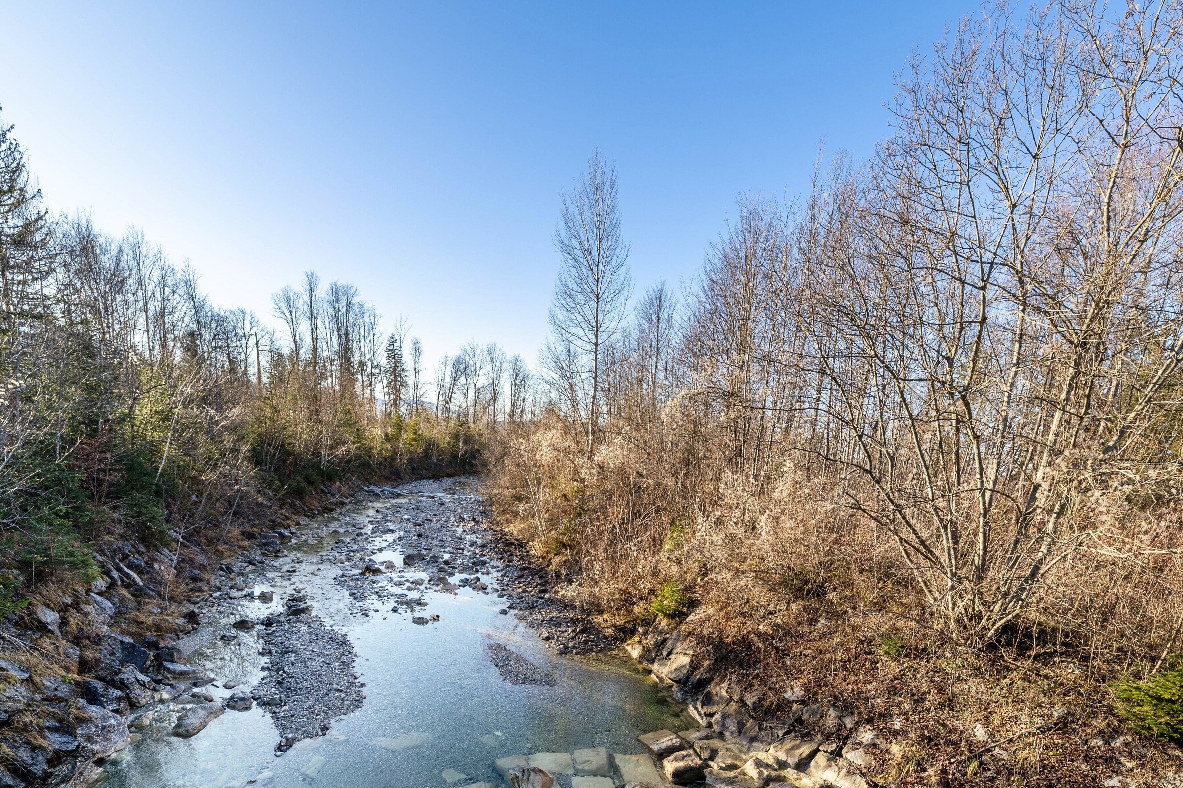Ein Fluss fließt durch eine bewaldete Landschaft mit steinigen Ufern und Bäumen.
