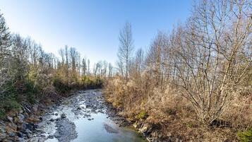 Ein Fluss fließt durch eine bewaldete Landschaft mit steinigen Ufern und Bäumen.