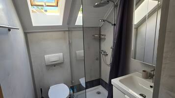 Een moderne badkamer met dakraam, een douchecabine met glazen wanden, een toilet en een wastafel met spiegel.