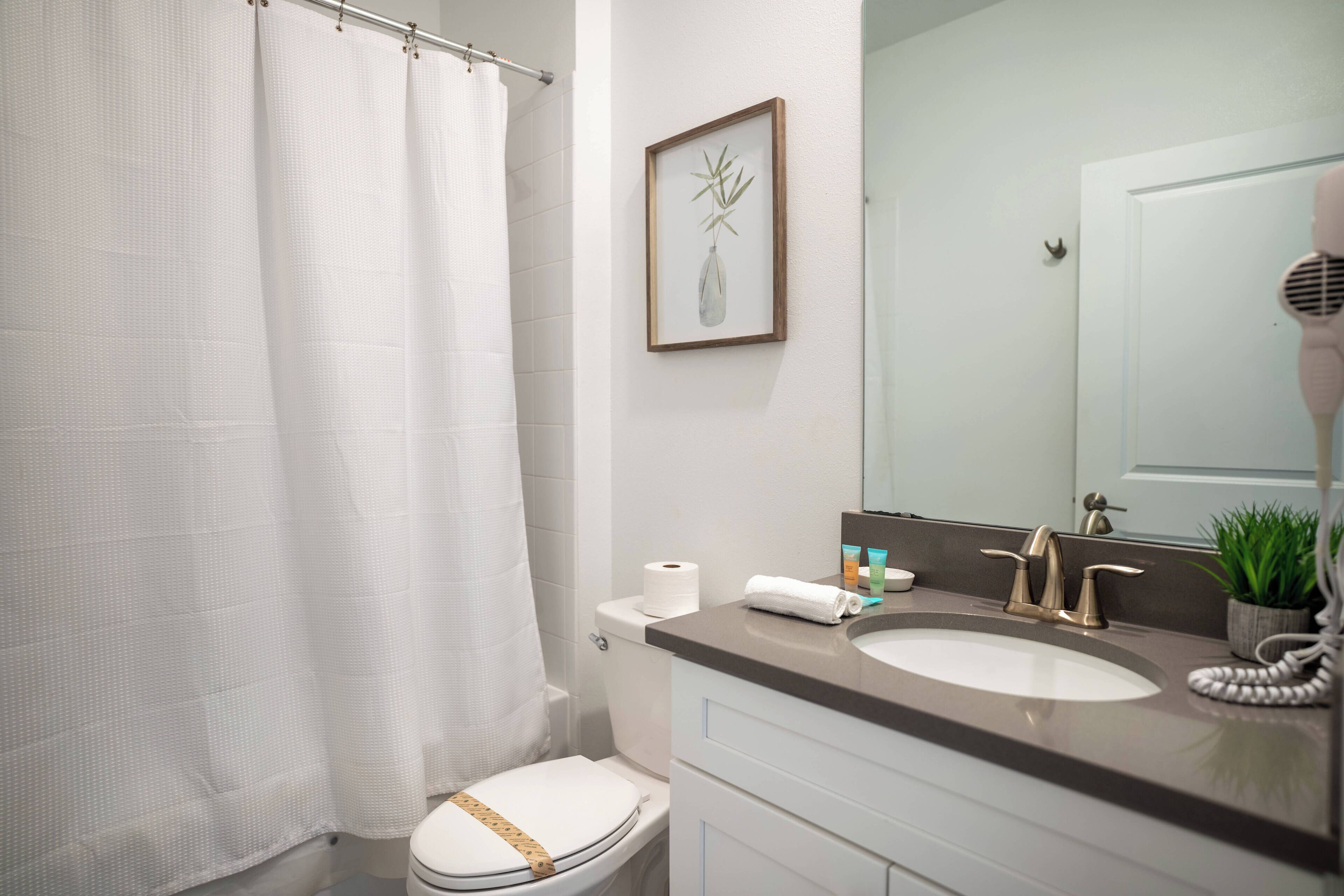 A bathroom with a white toilet, a shower curtain, a framed plant, a sink with a mirror, and a hairdryer.