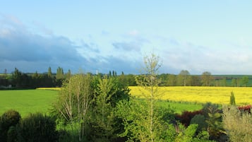 Paesaggio rurale con campi, alberi e cielo sereno.