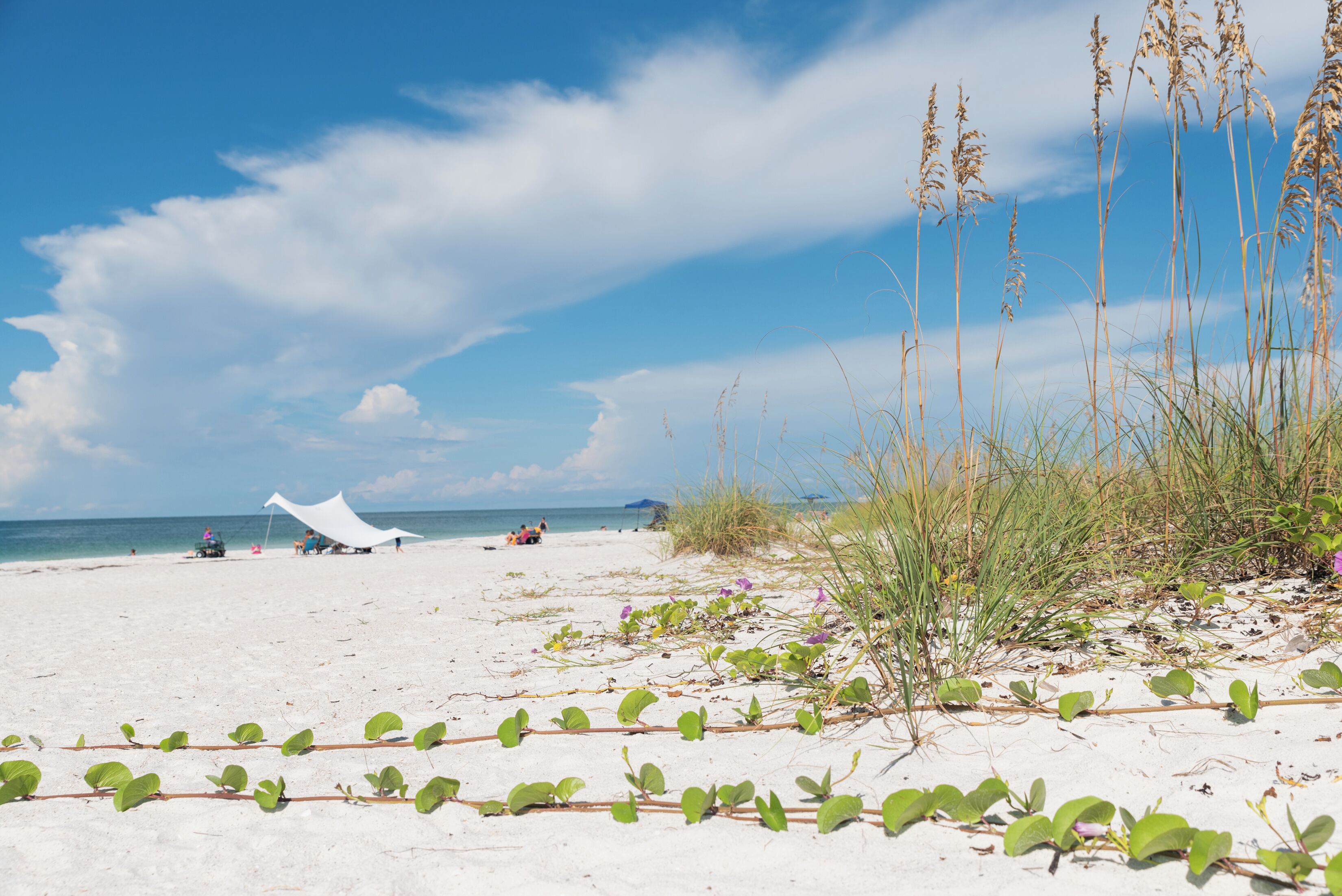Beach nearby, sun-loungers, beach towels