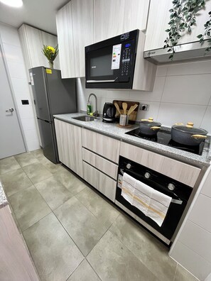 Coffee/tea maker, microwave, oven, stovetop - Santiago Centro Modern Apartment, 5 minutes from the Palacio de la Moneda! (Santiago)