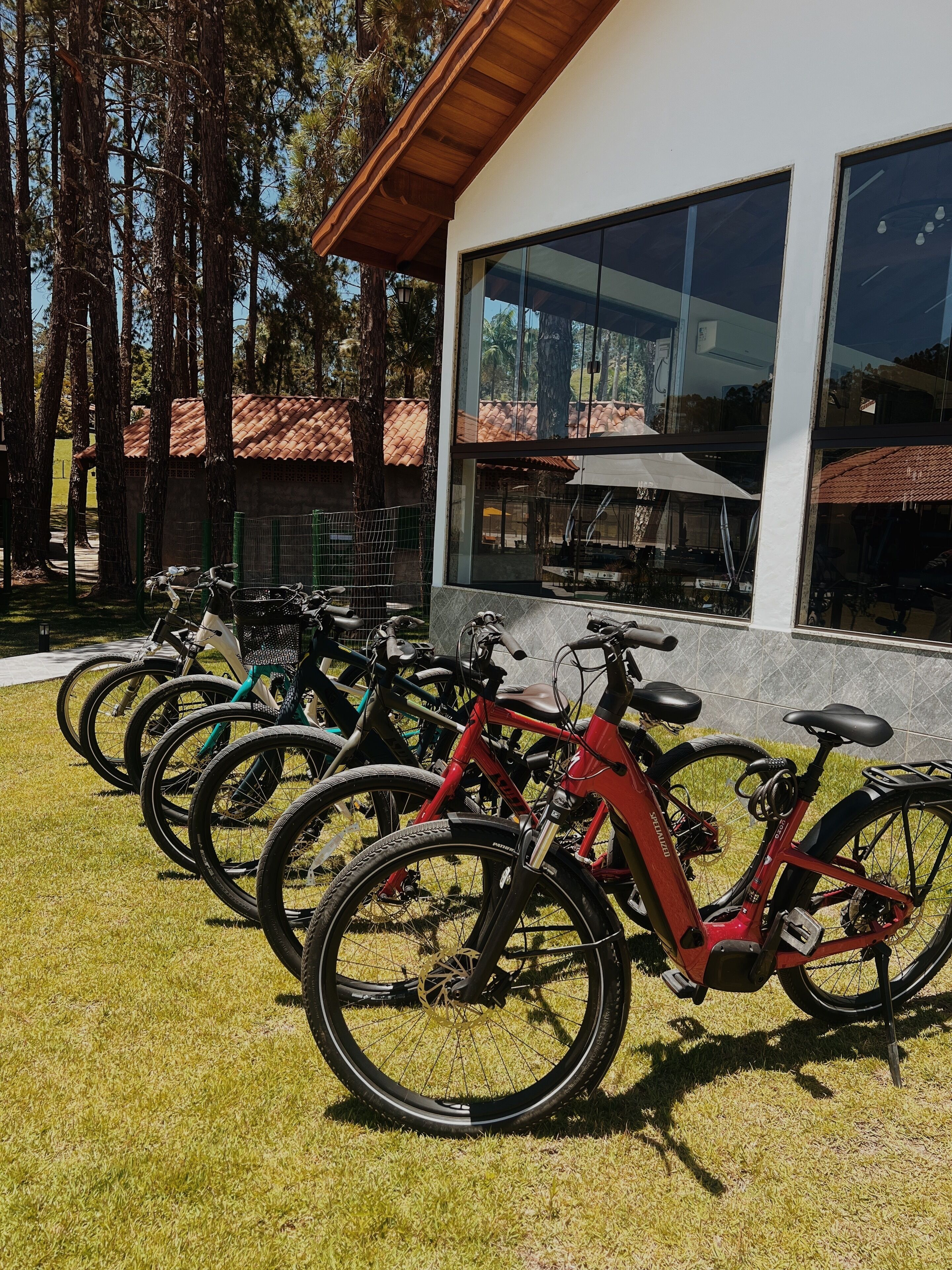 A row of bicycles parked on a grassy area in front of a building with large windows.