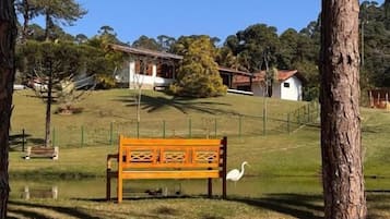 Área da propriedade