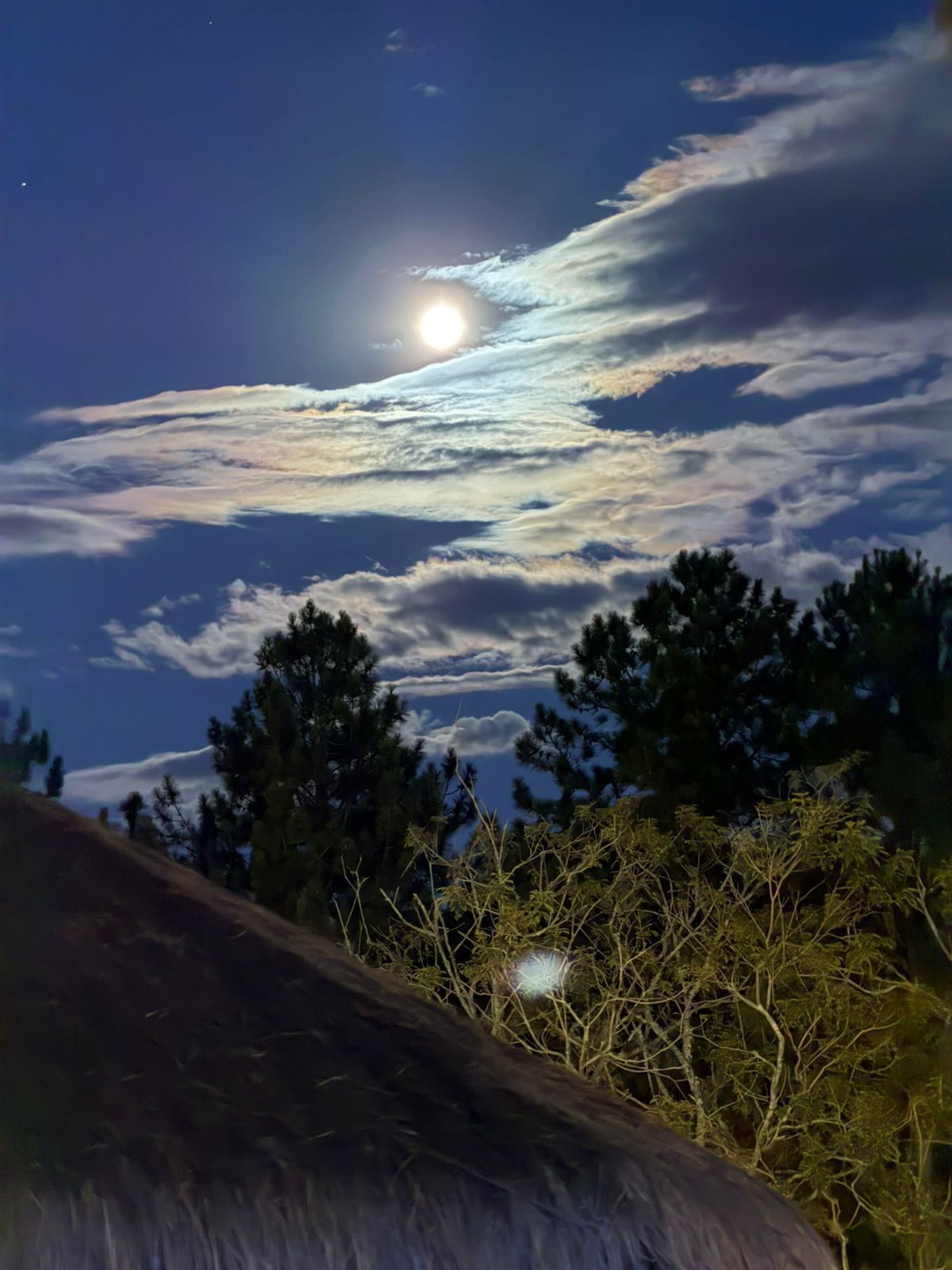 Cielo nocturno con luna y nubes visibles.