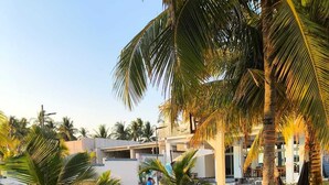 Un sendero bordeado de palmeras que conduce a un edificio con piscina y mobiliario exterior.