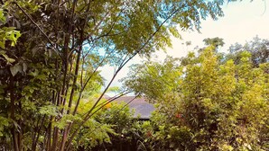 Un jardín exuberante con diversas plantas y una estructura rocosa.