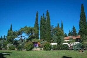 Garden - Vintage Provence (Arles)
