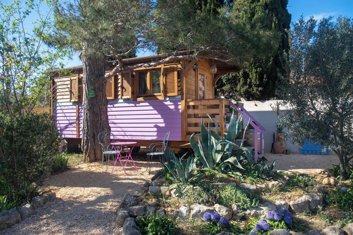 Una cabaña de madera con fachada morada, rodeada de un jardín con rocas y plantas.
