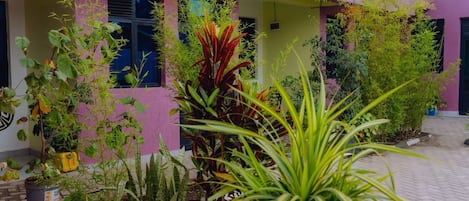 A building with a pink exterior and a paved entrance area with various potted plants.