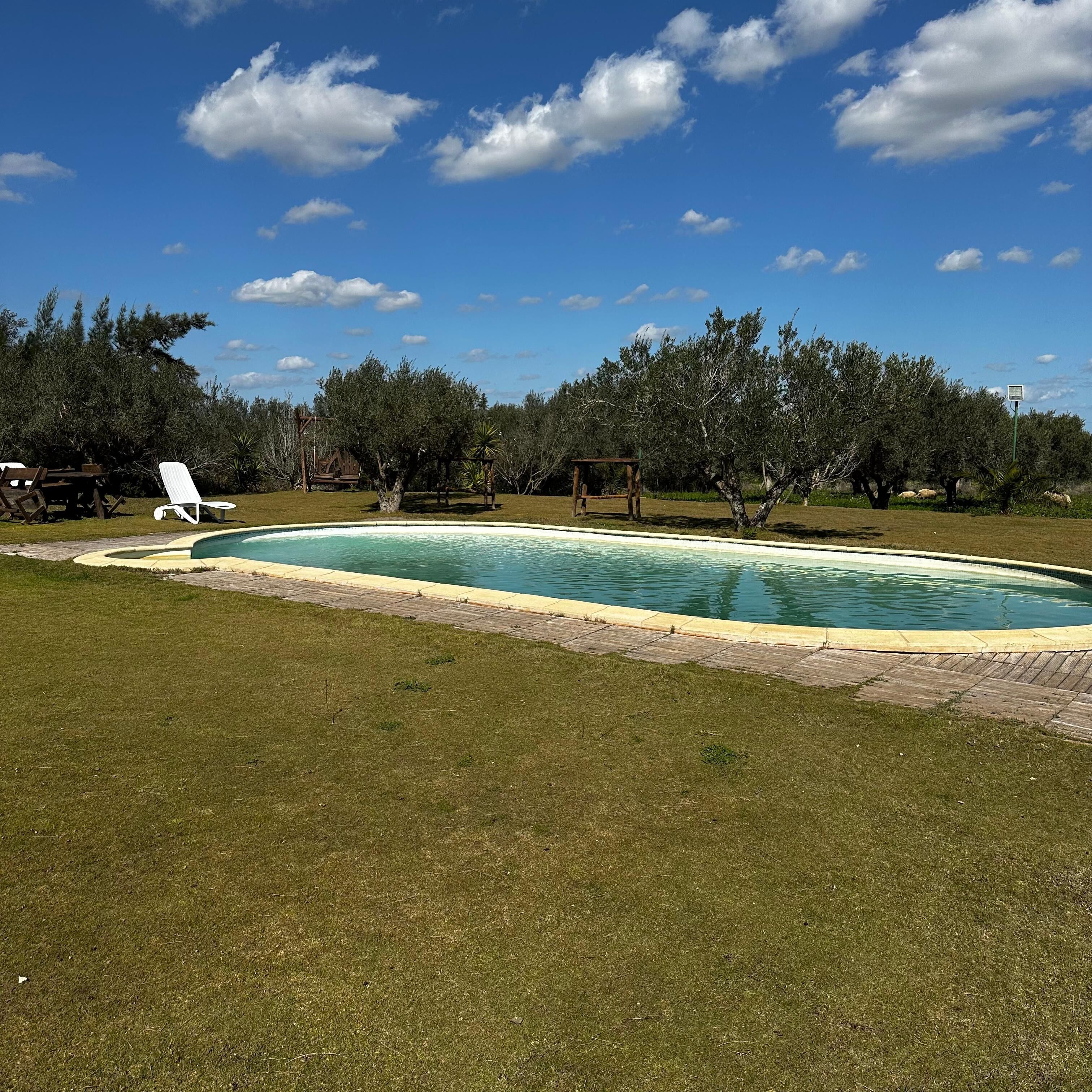Piscine extérieure en saison