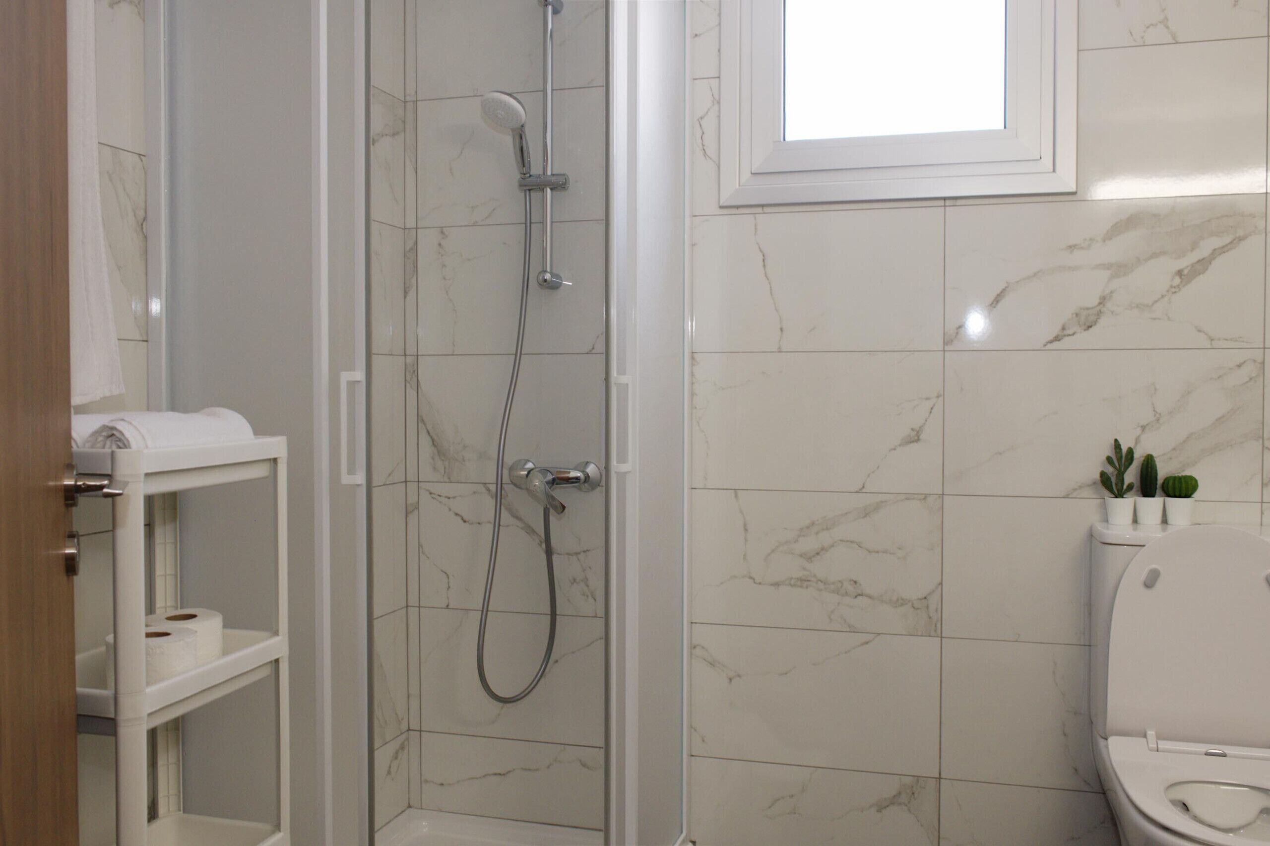 Shower, hair dryer, towels
