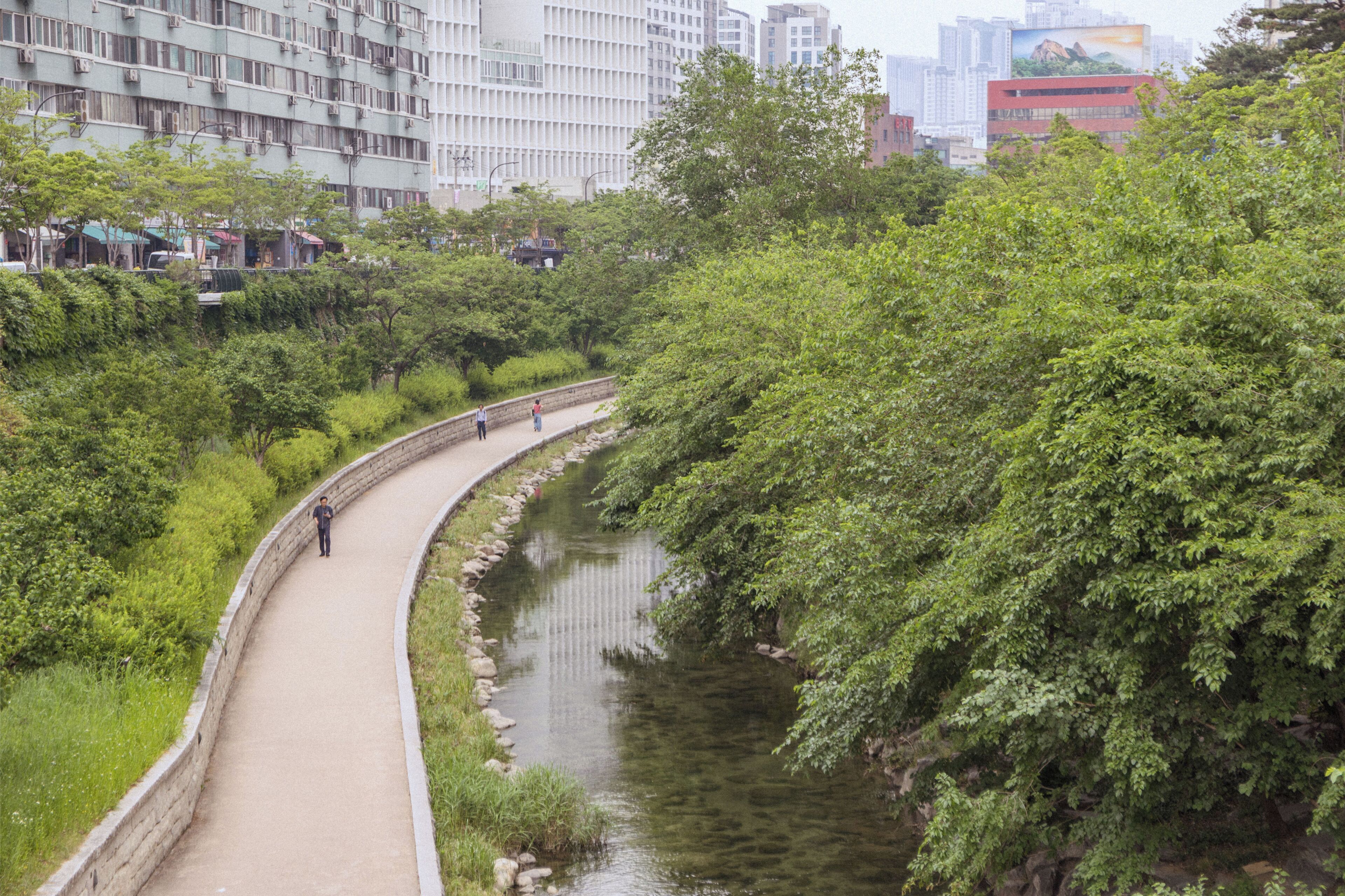 A pathway alongside a water body with dense greenery, a stone wall, and buildings in the background.